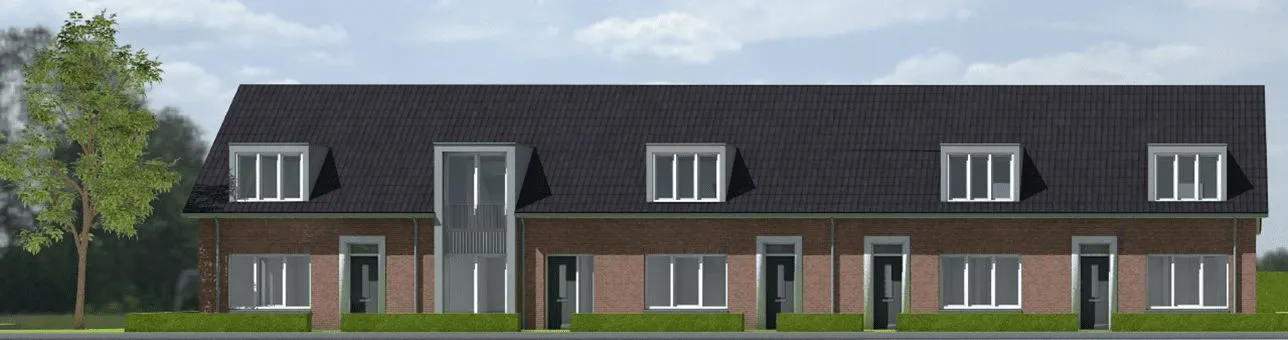 Boekweitveld