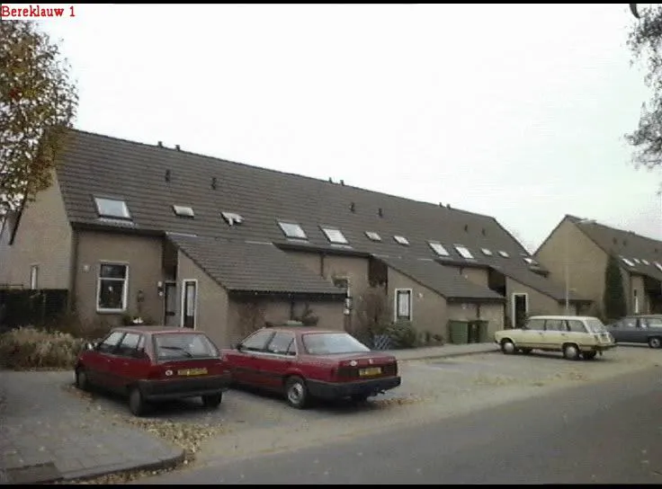 Bereklauw