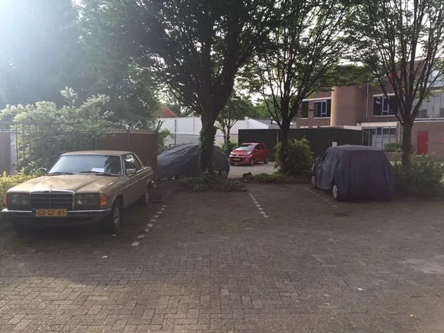 Paulus Potterstraat