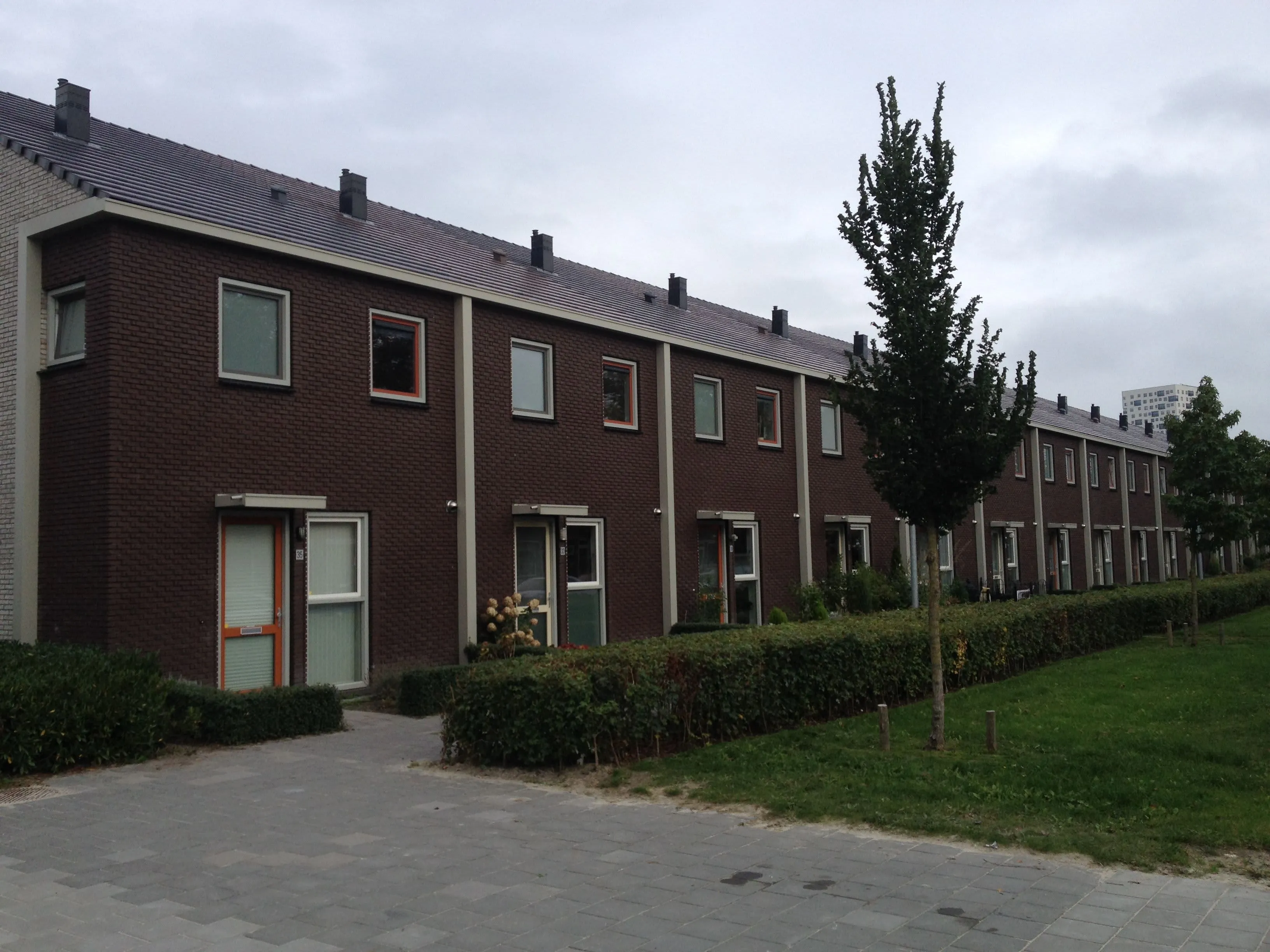 Paracelsusstraat