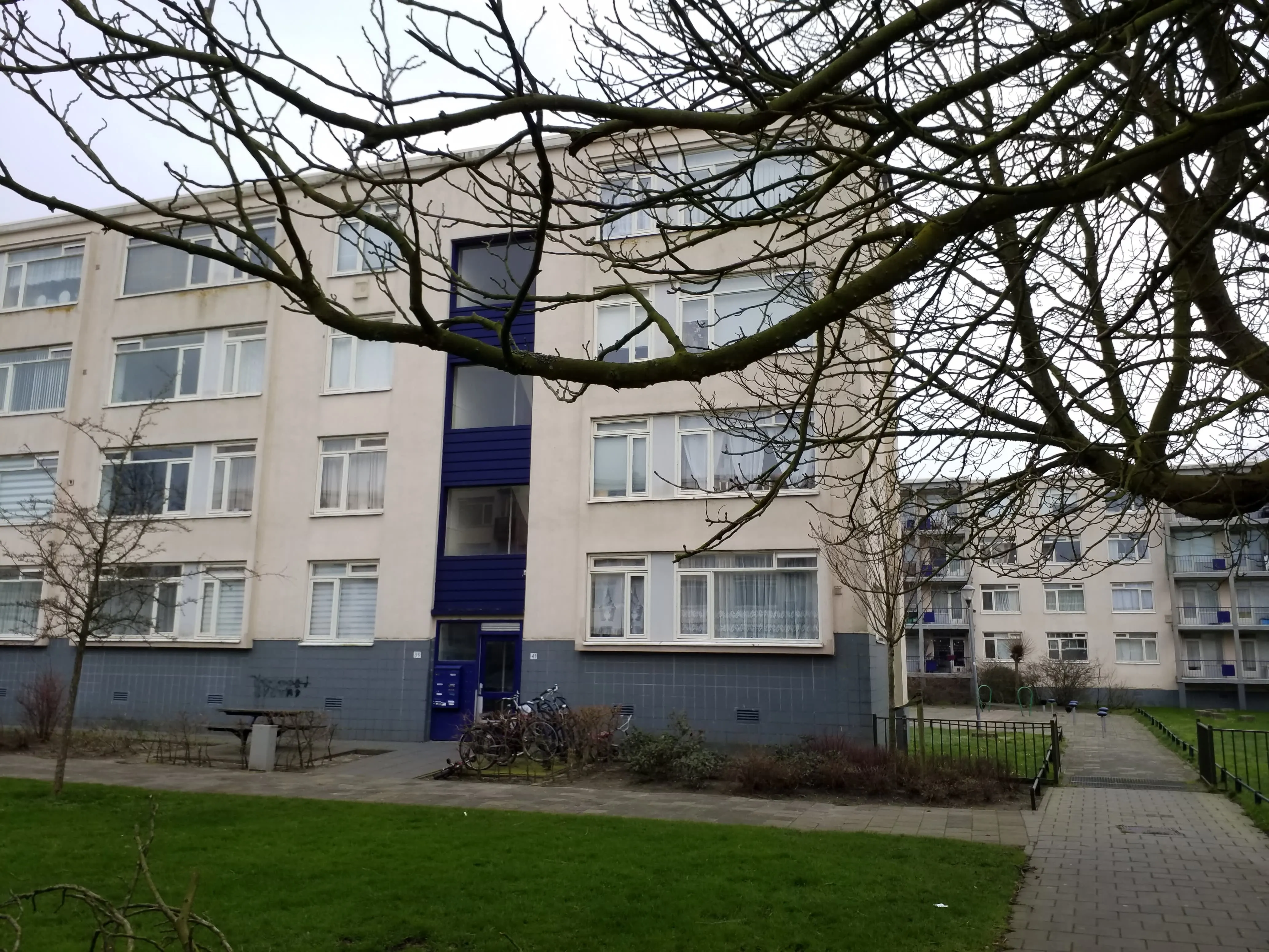 Van Loghemstraat