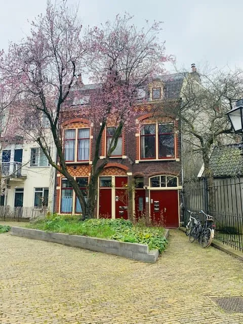 Wolvenstraat