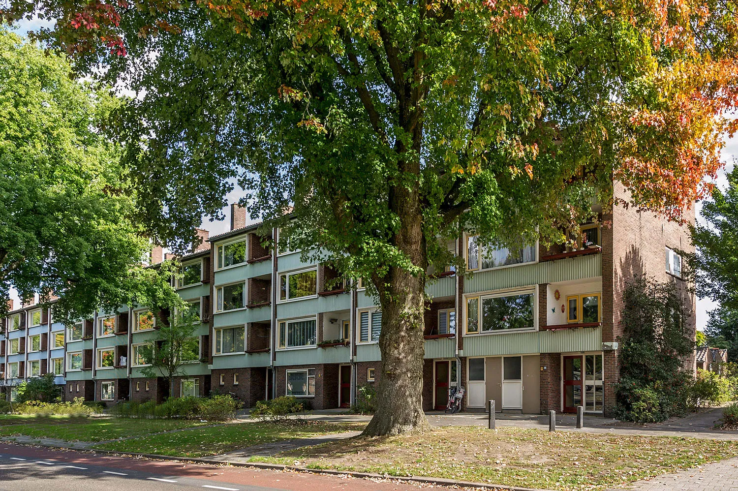 Isseltseveld