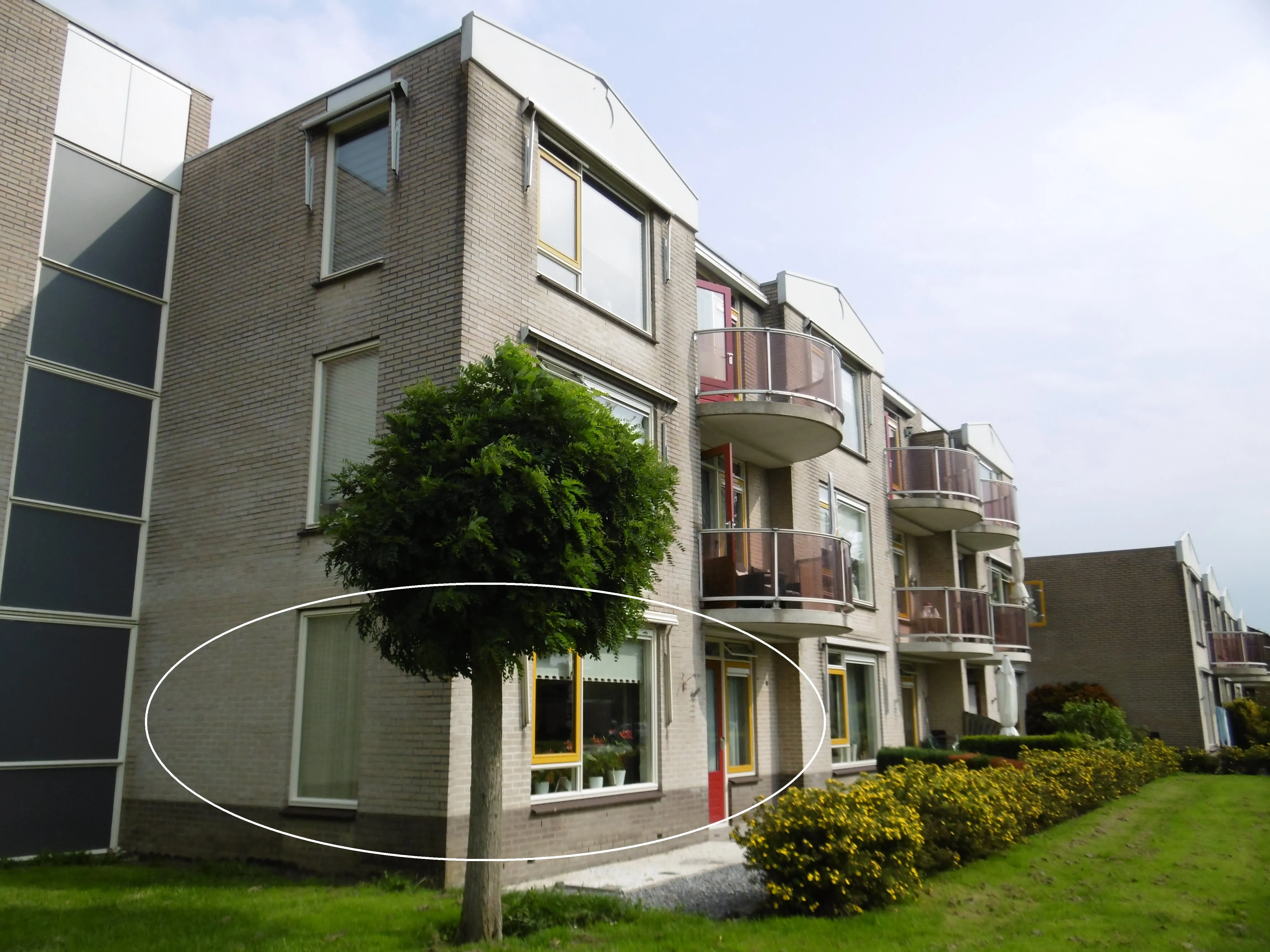 Wielingen