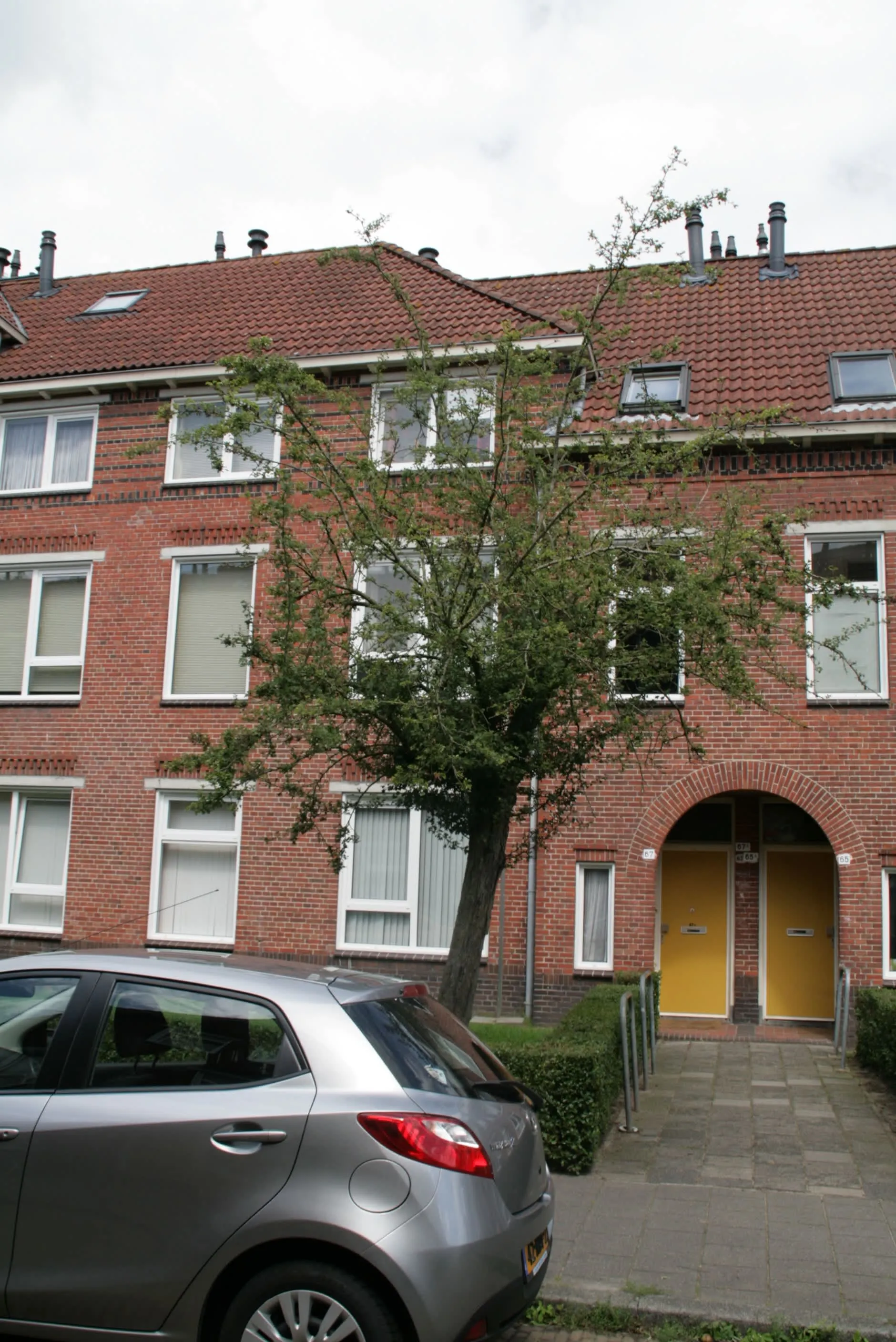 Johan Willem Frisostraat