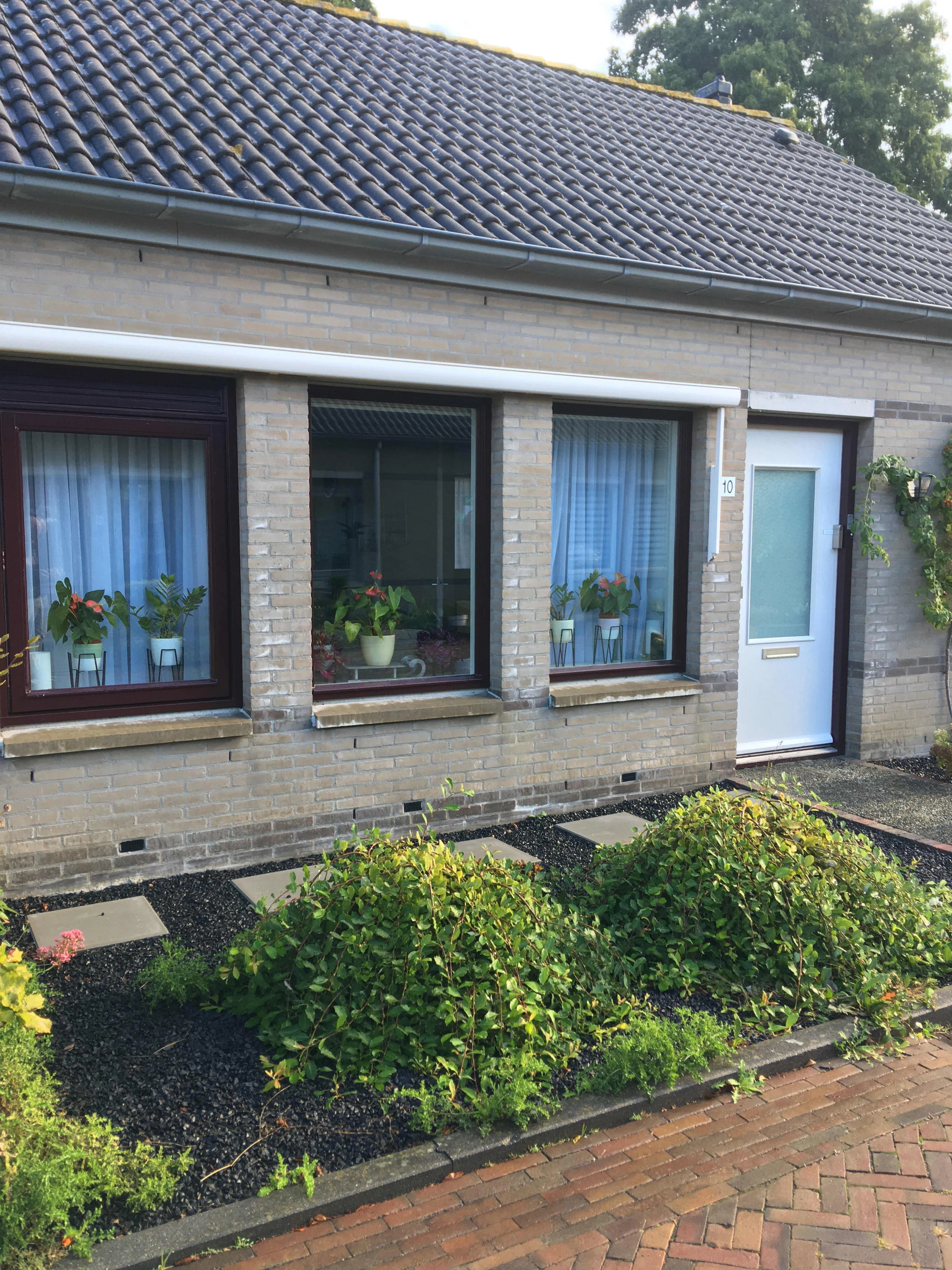 Patrijzennest