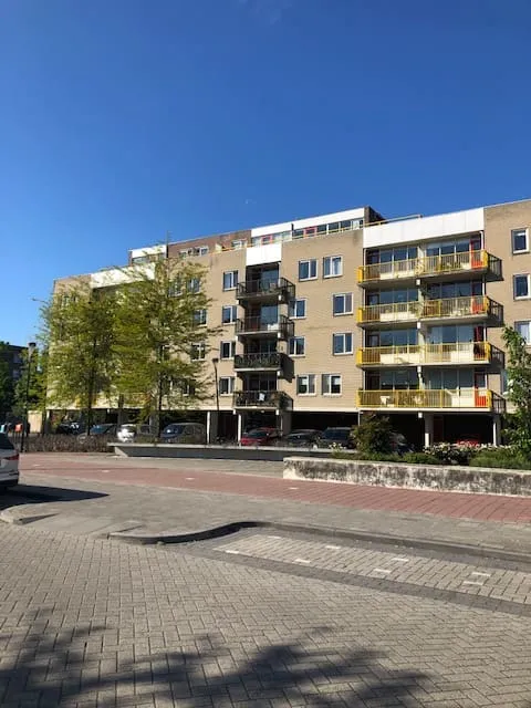 Bisonspoor