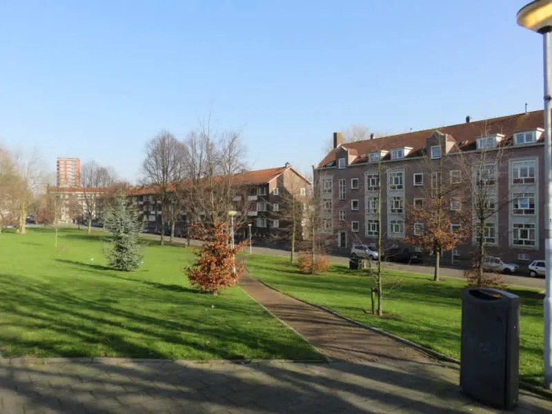 Assendelftstraat