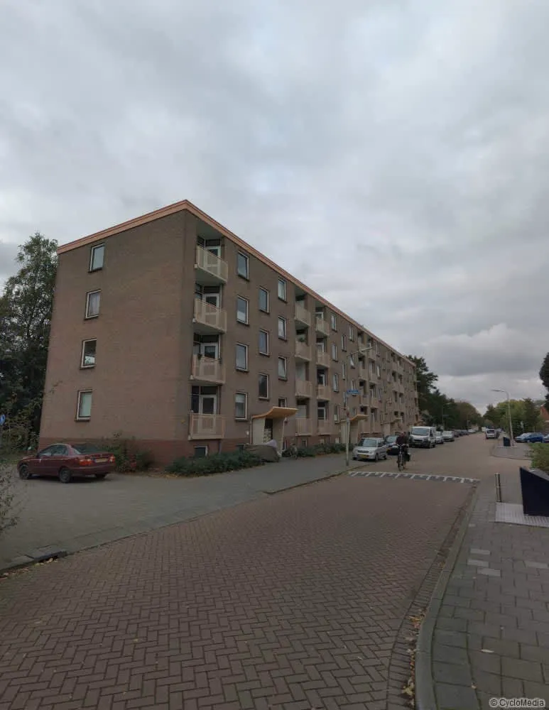 De Savornin Lohmanweg