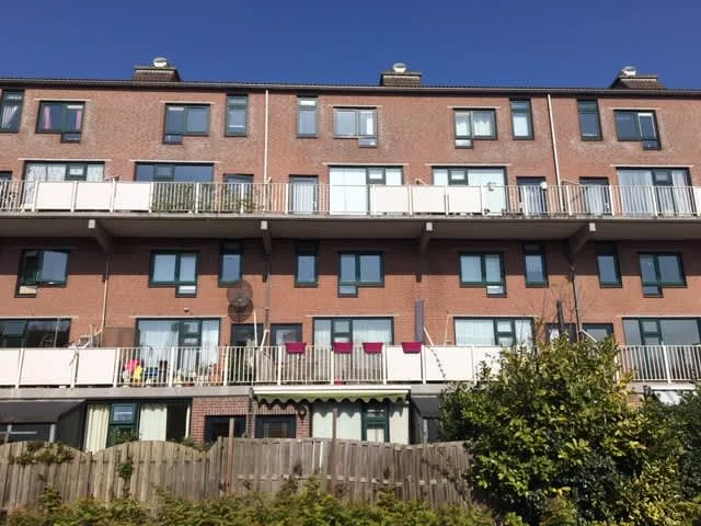 Schelpenhoek