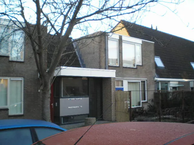 Vioolveld
