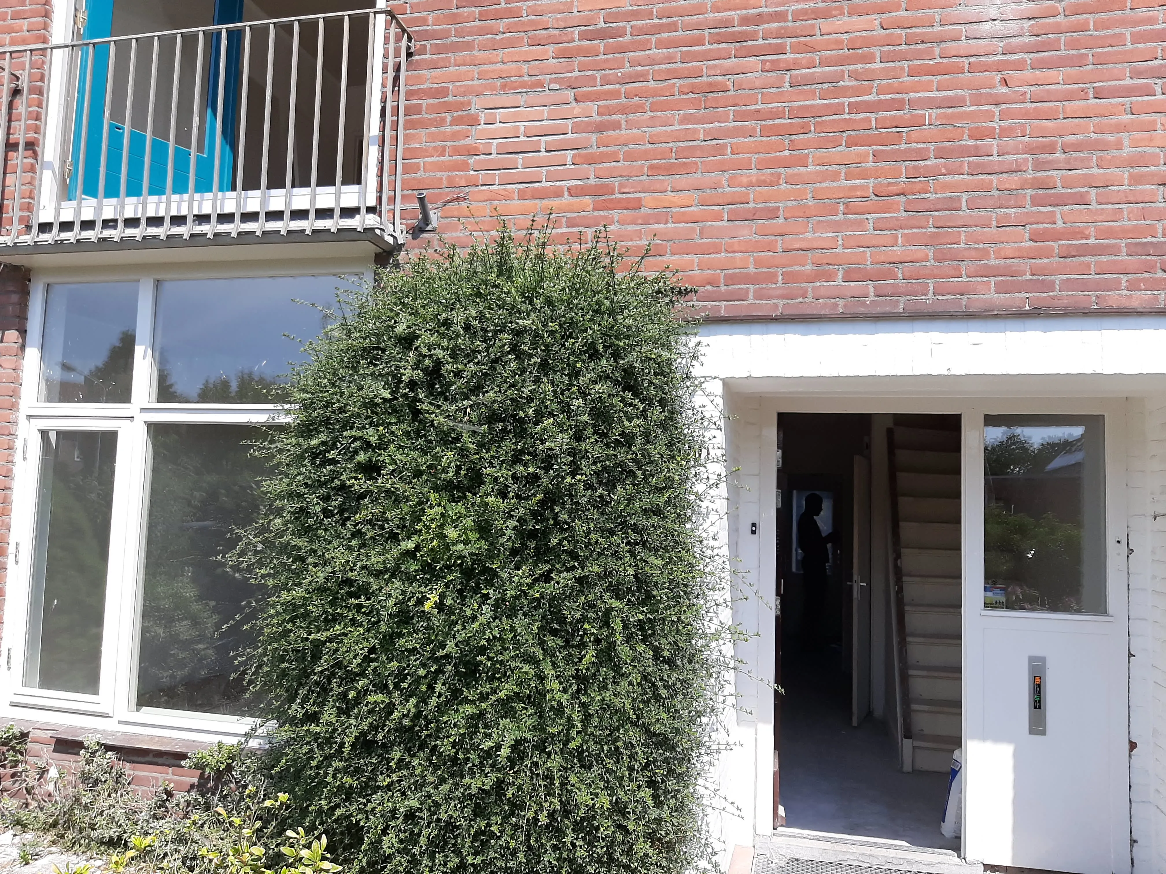 Van den Wall Bakelaan