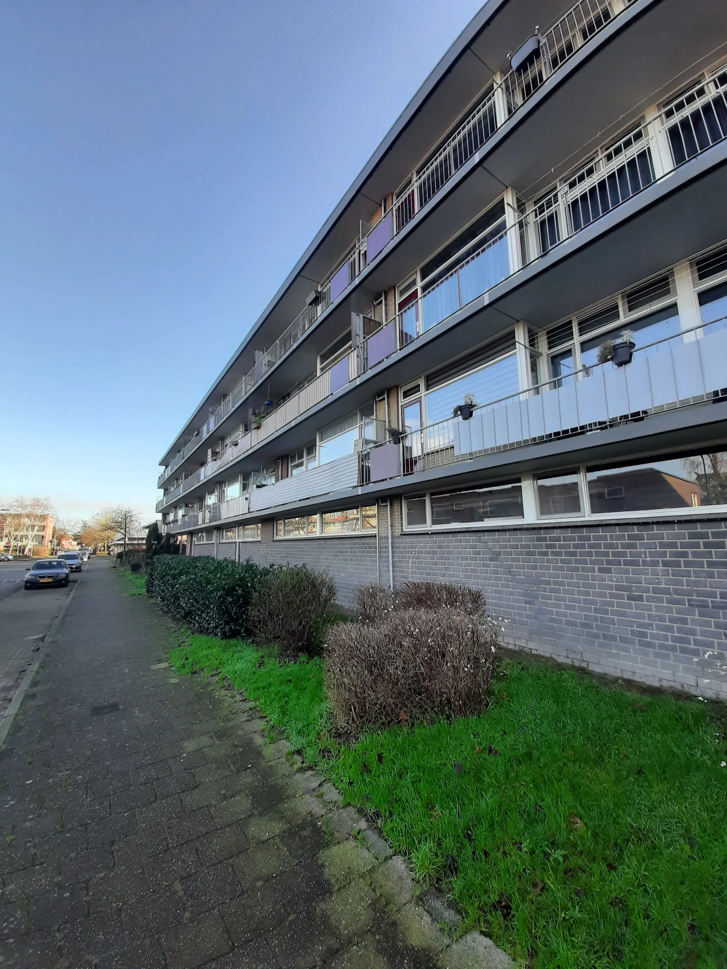 van Eckstraat