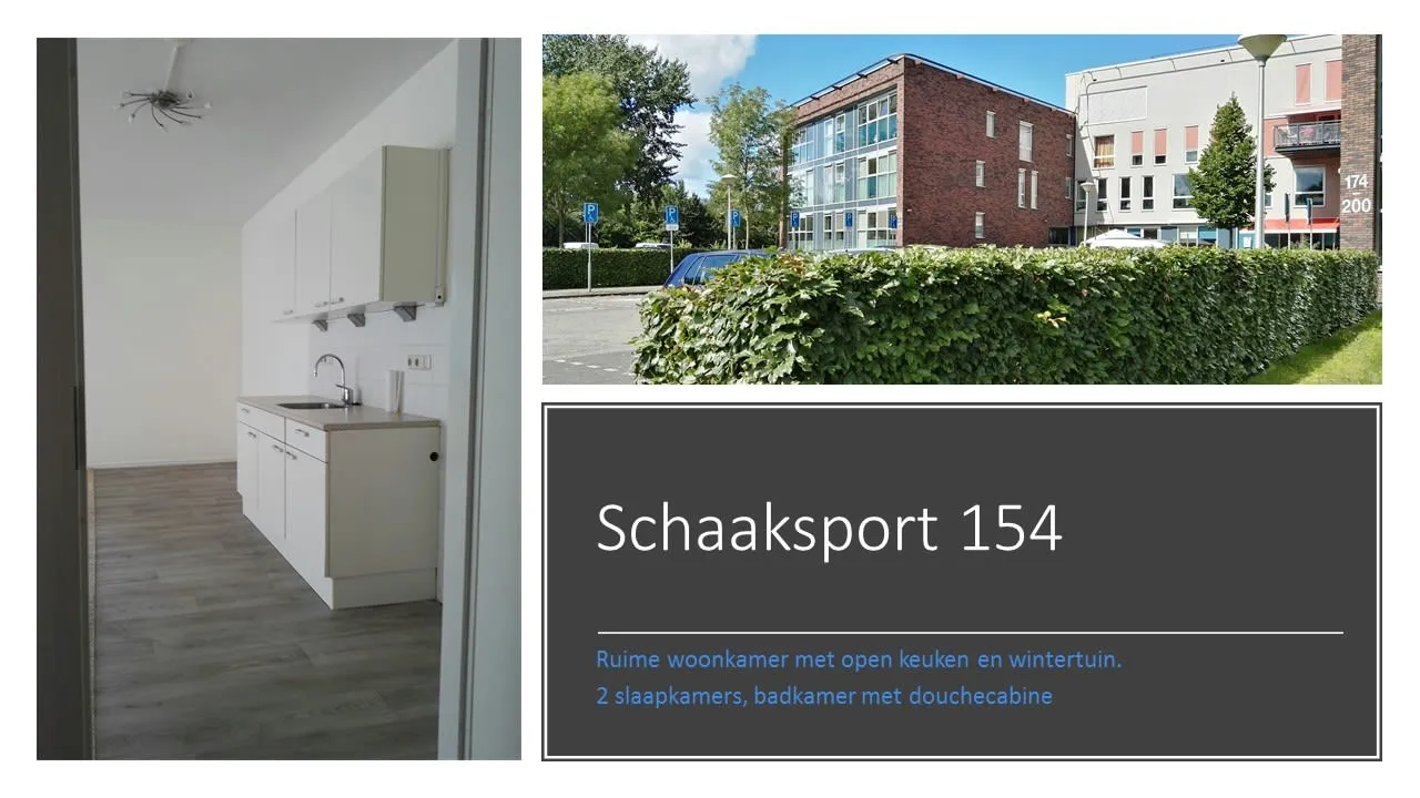 Schaaksport