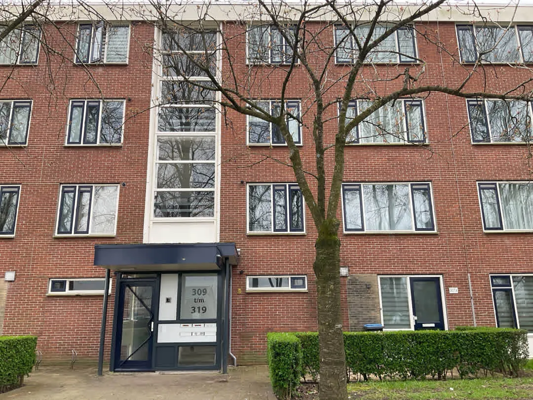 Parklaan