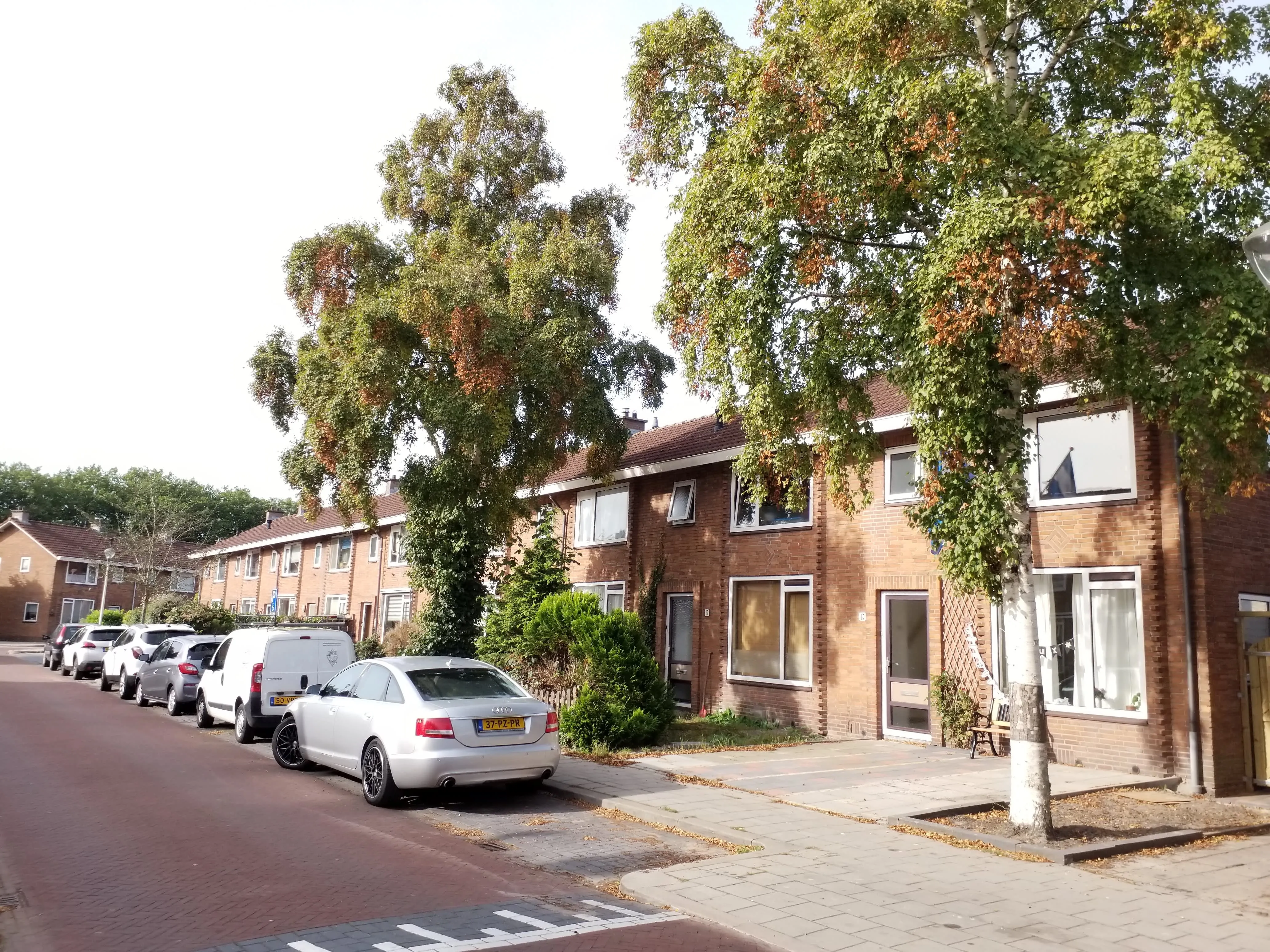 Prinses Marijkestraat