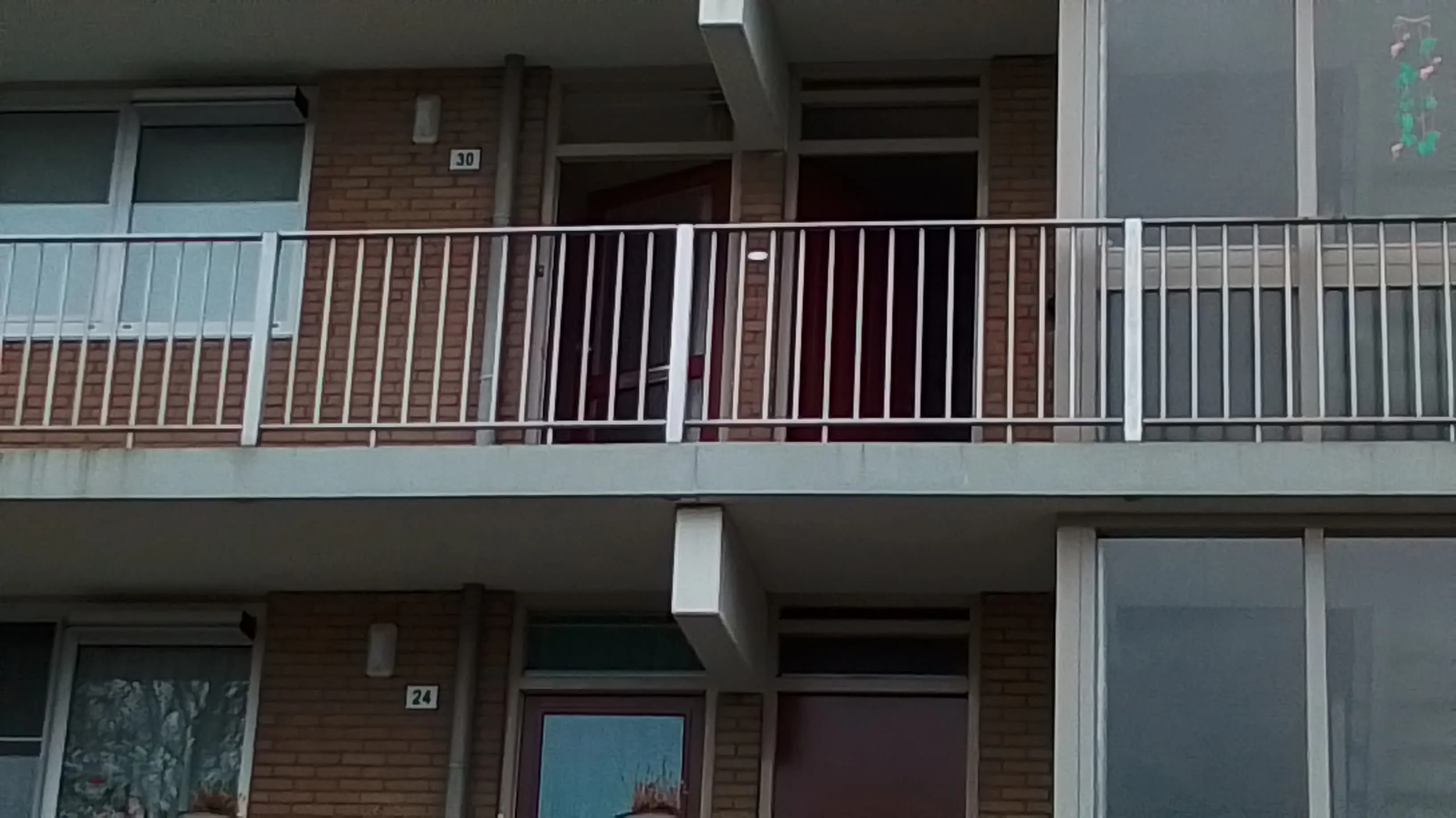 Dotterbloemstraat
