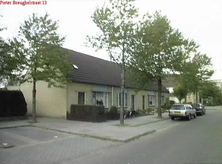 Pieter Breughelstraat