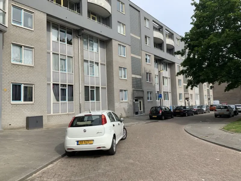 Hoge Boezem
