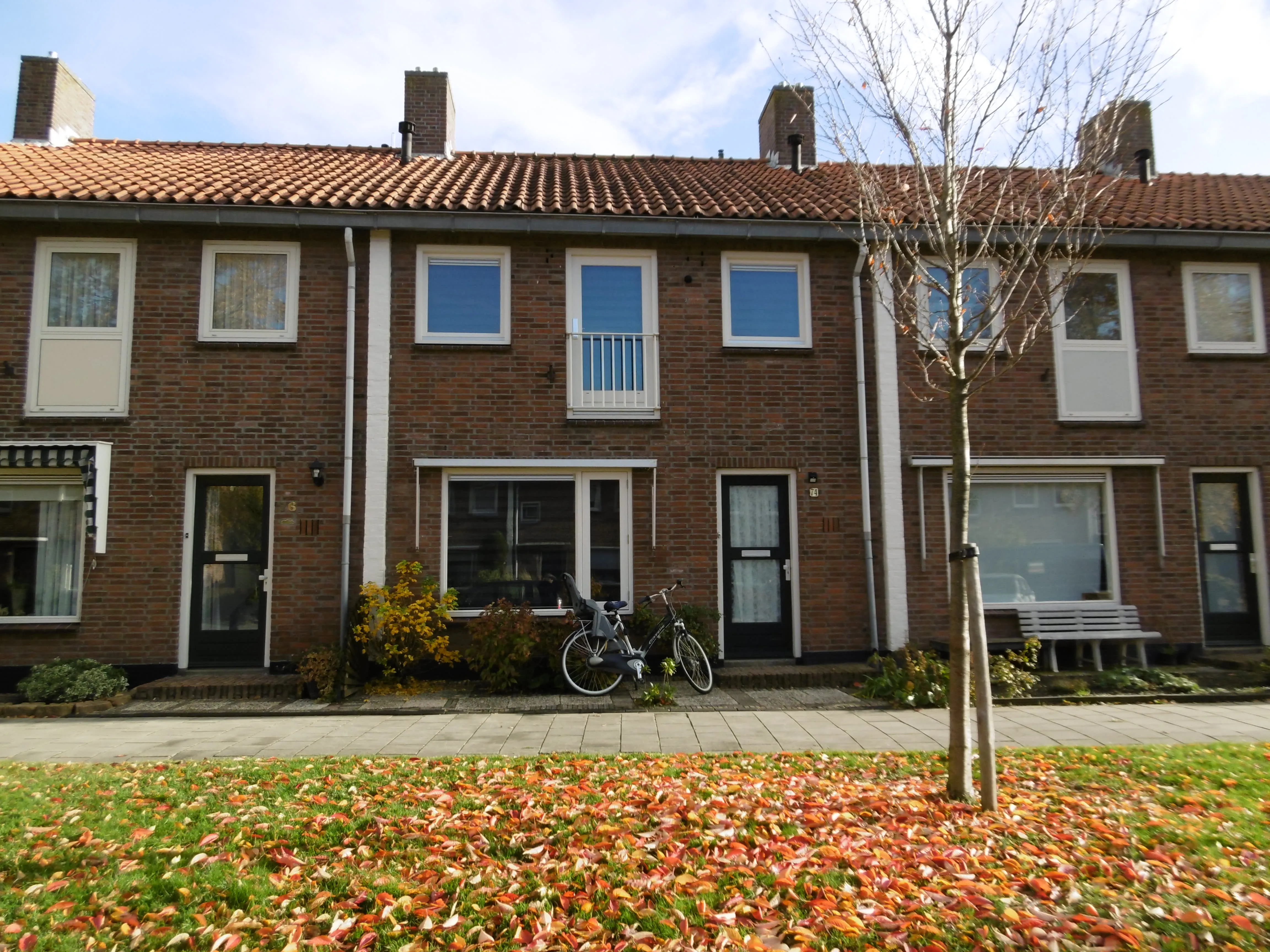 Duizendknoopstraat