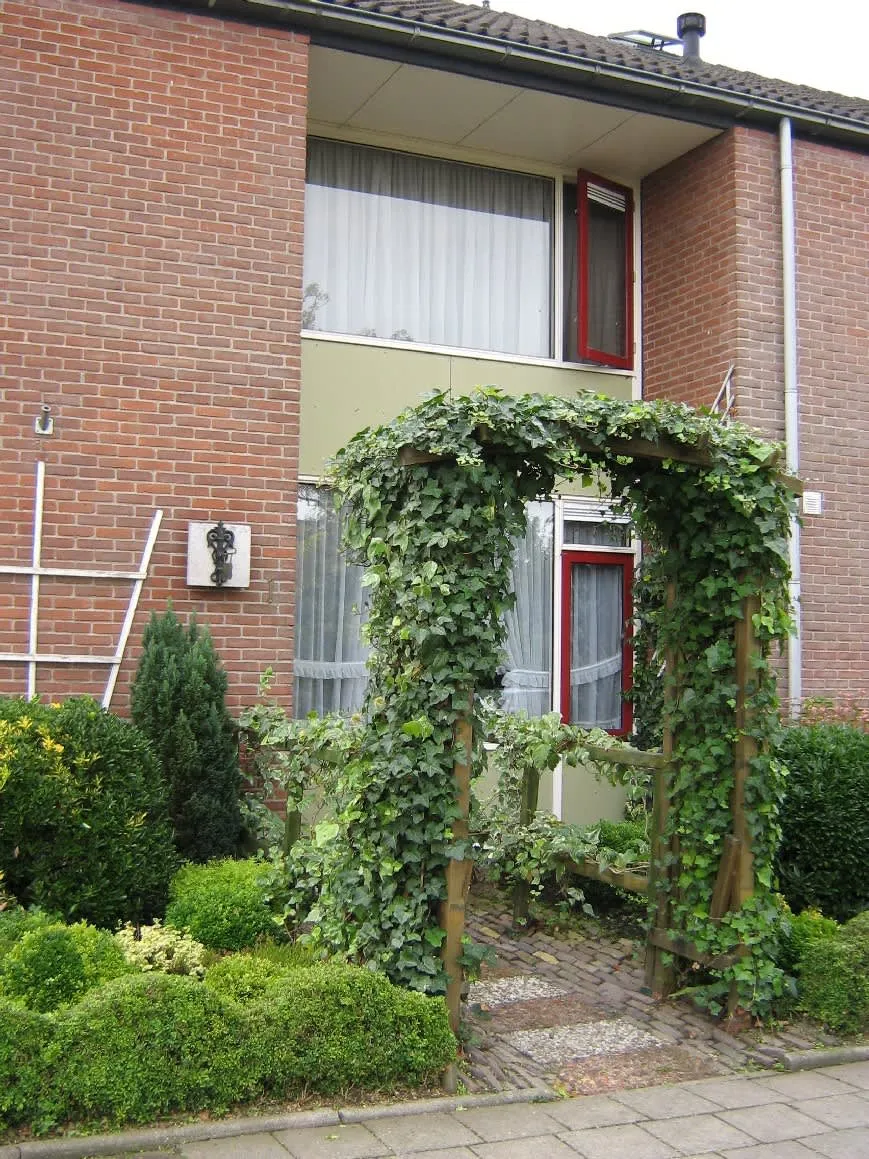 De Ruyterlaan