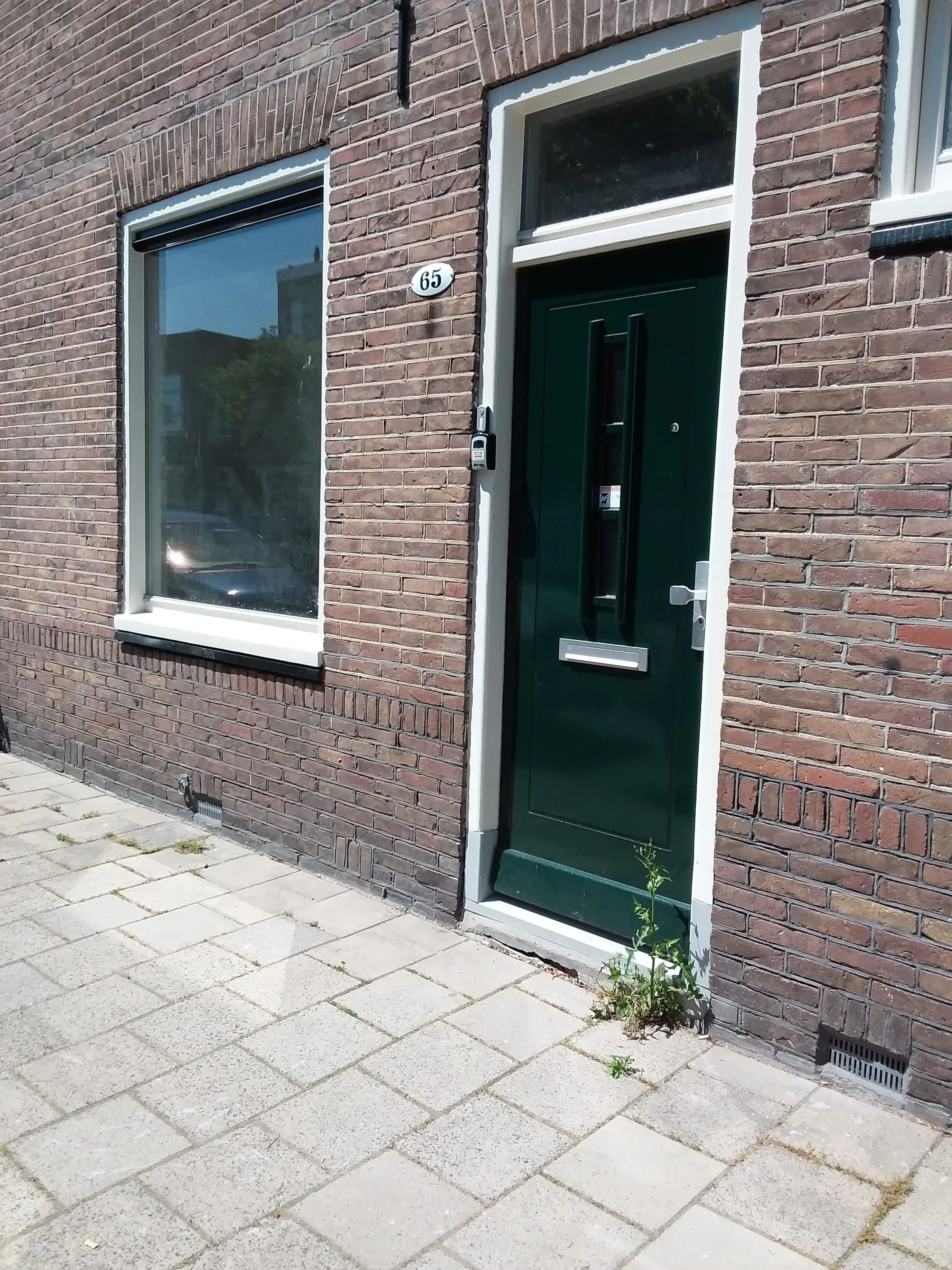 Plataanstraat