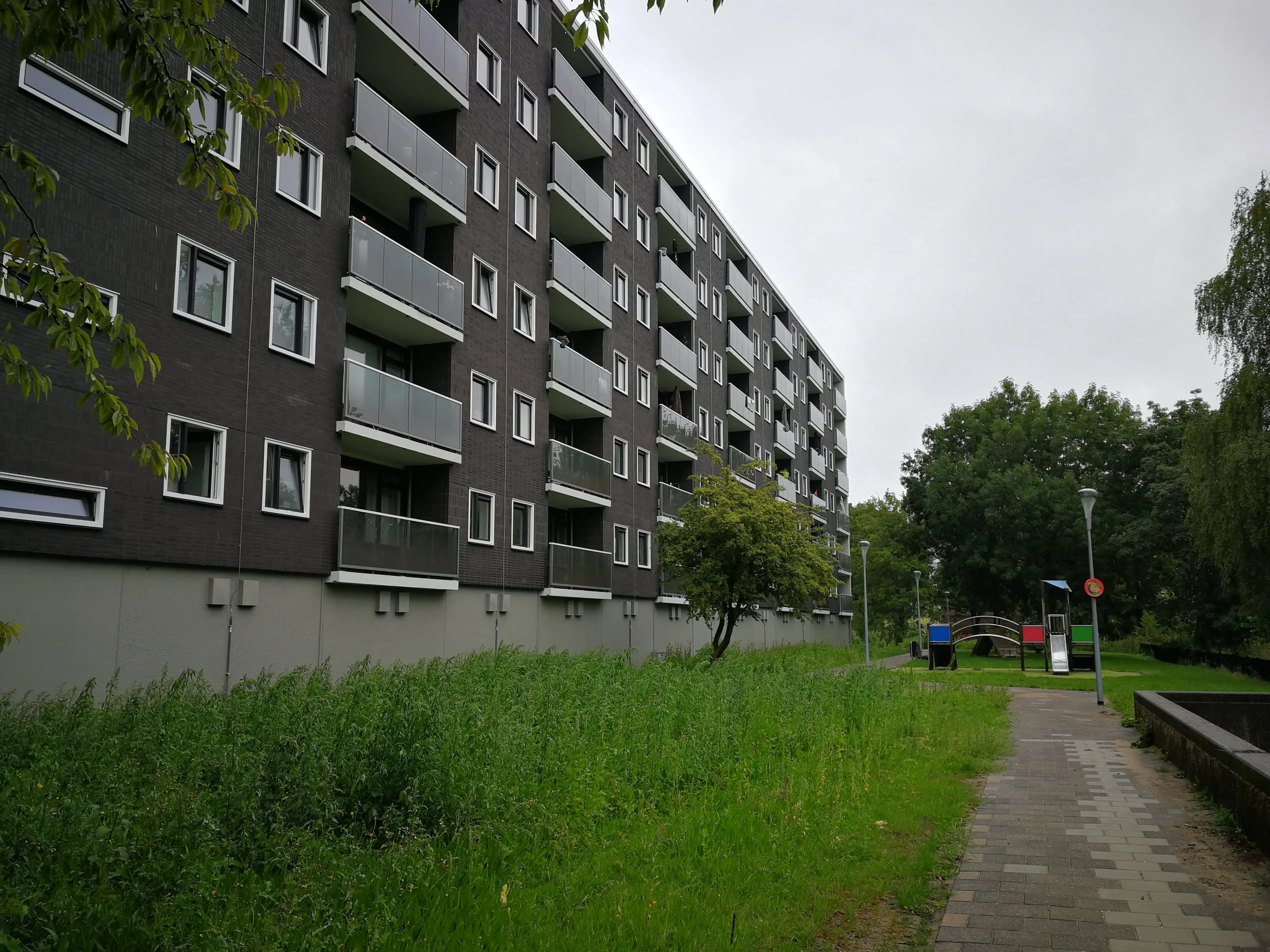 Graan voor Visch