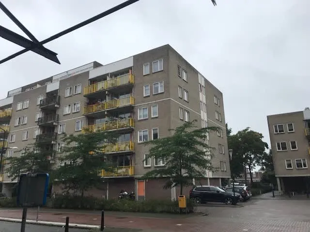 Bisonspoor