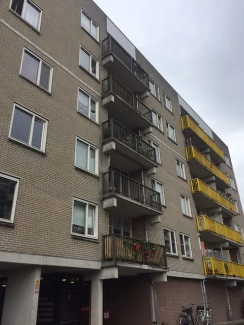 Bisonspoor