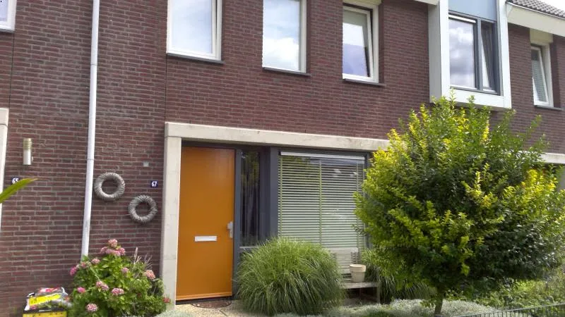 Aardbeivlinder