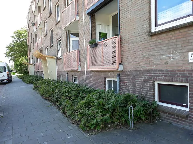 De Savornin Lohmanweg
