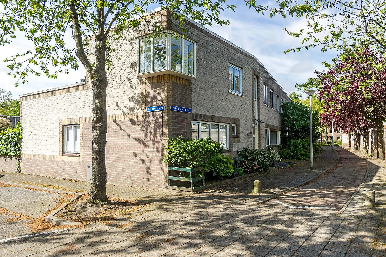 Eikebladvlinder