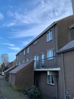Kalf
