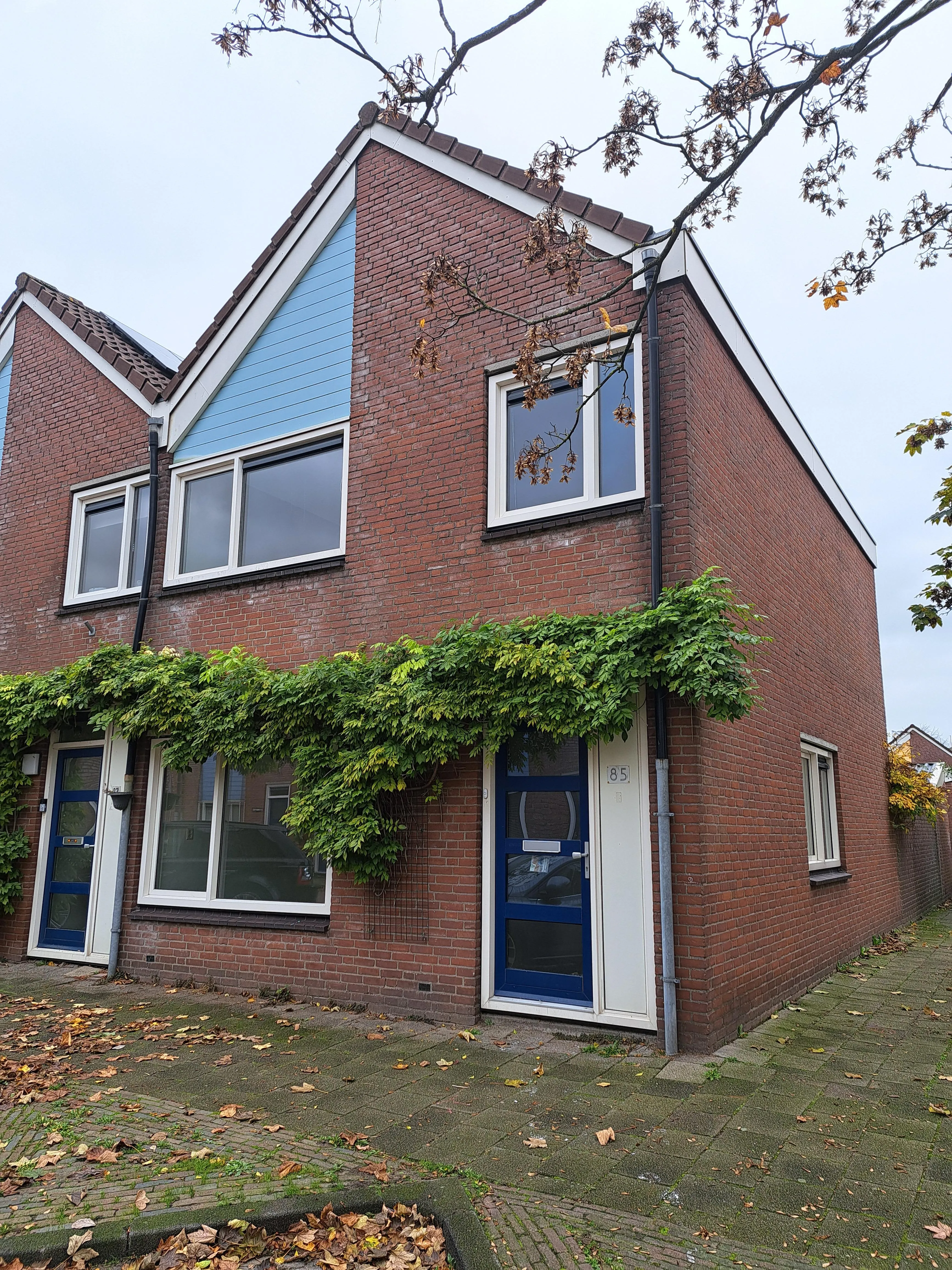 Van Marumstraat