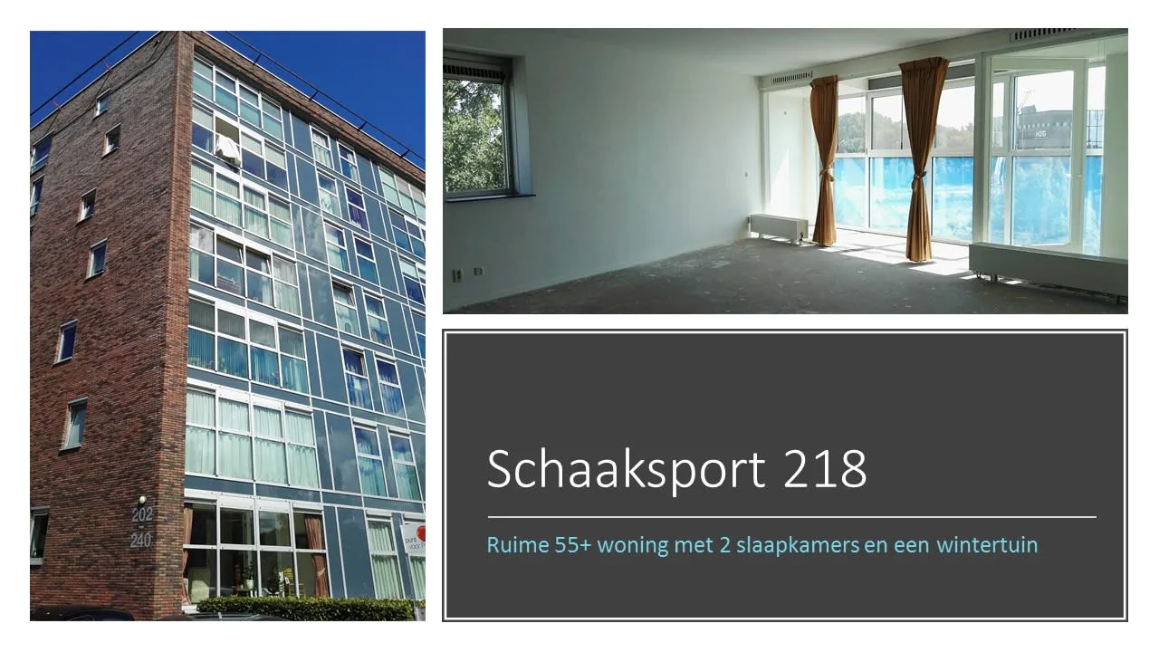 Schaaksport