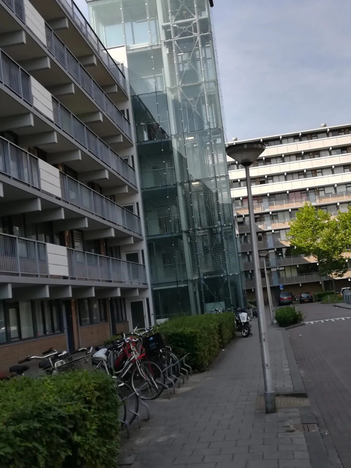 Beukenhorst