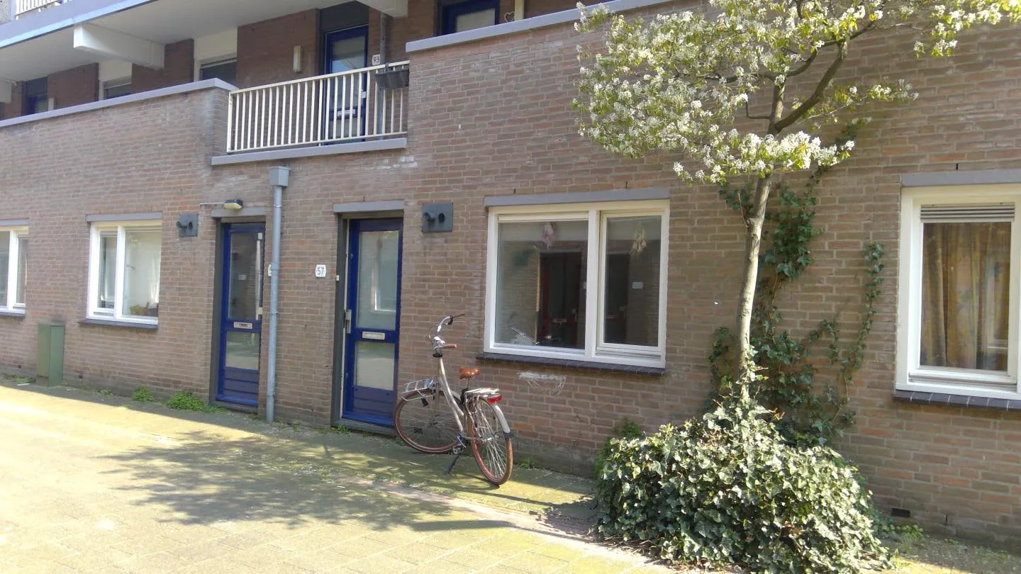 Goudriaanstraat