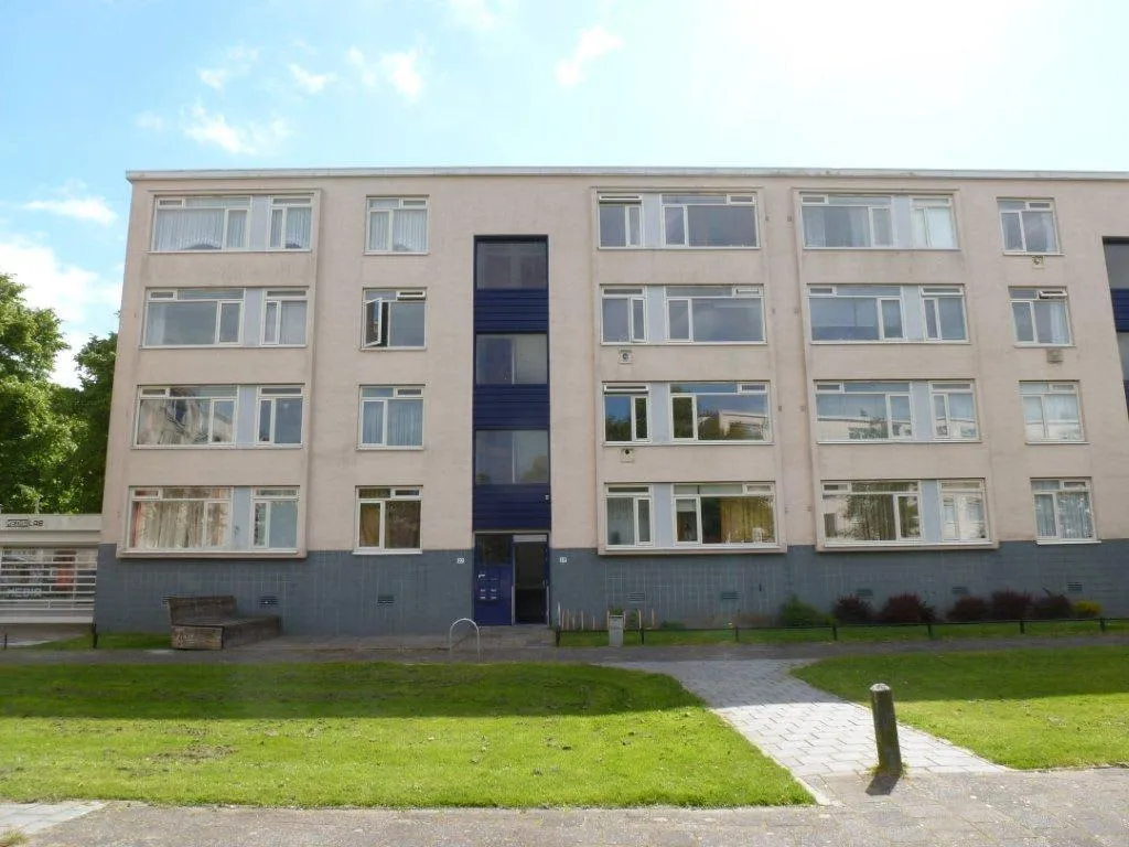 Van Loghemstraat