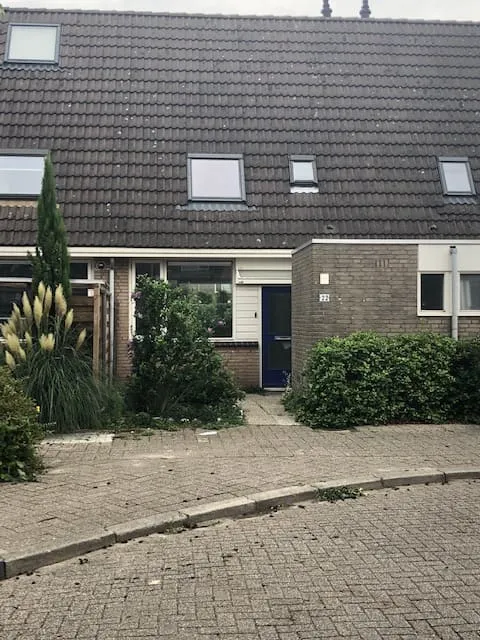 Lelieveld