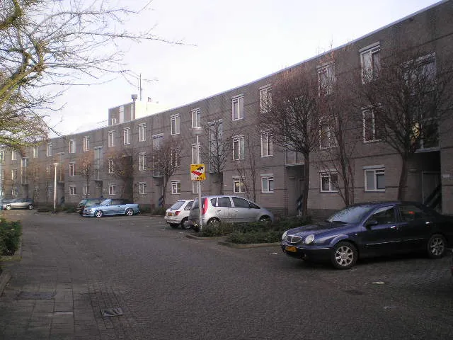 Madeliefveld