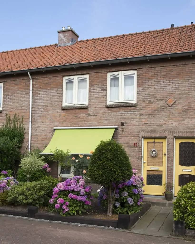 Paulus Potterstraat