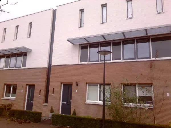 Vuurwants