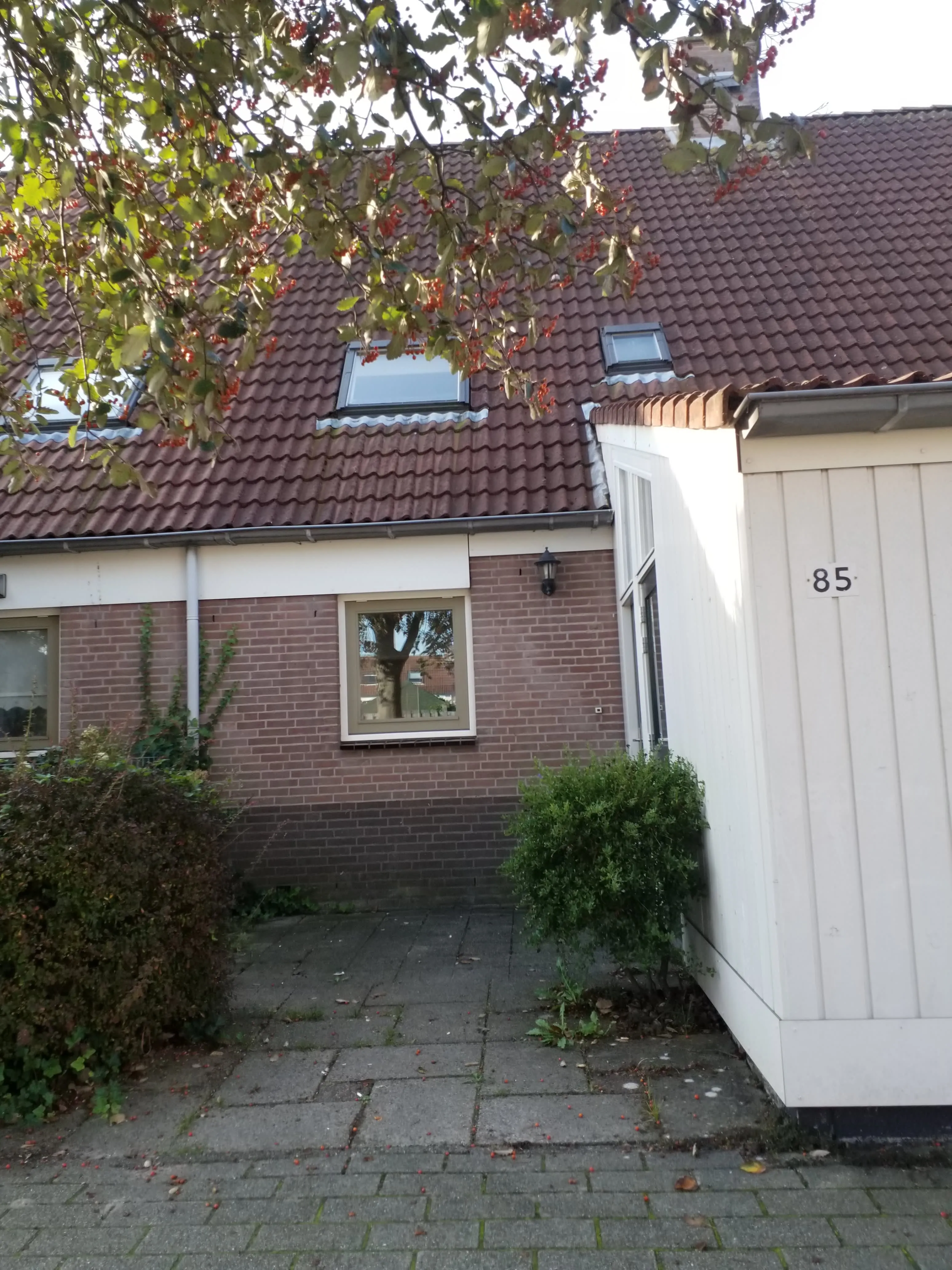 Weerterbos
