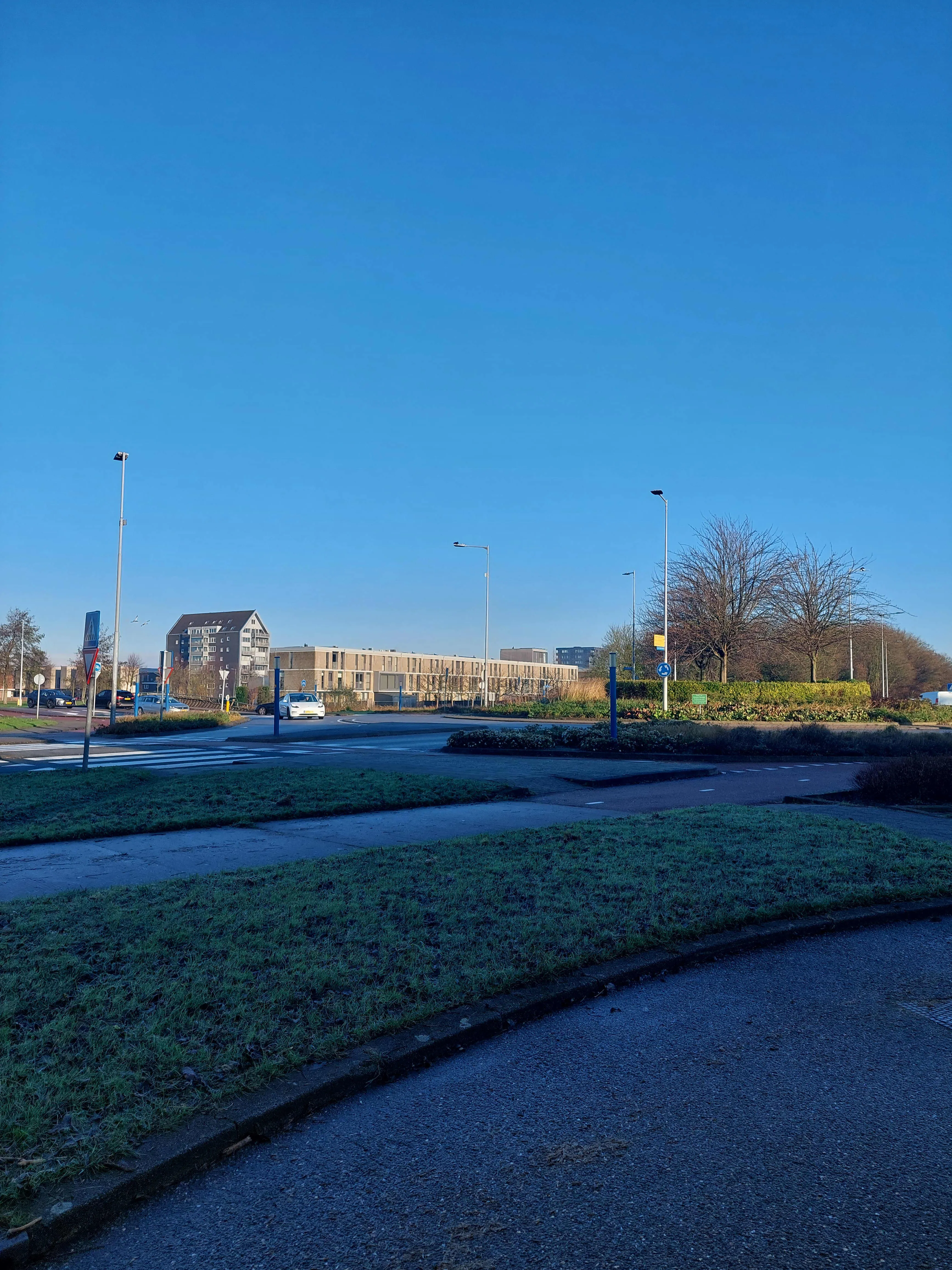 Tolheksbos
