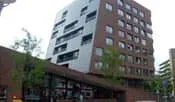 Berkenplein