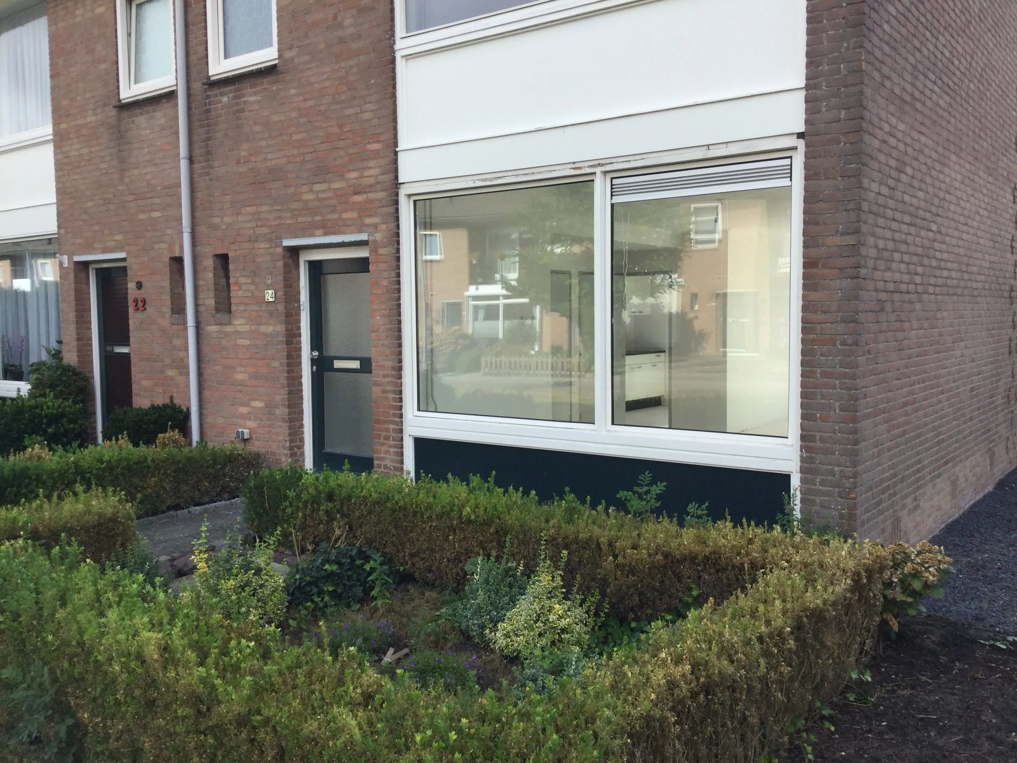 Kamillestraat
