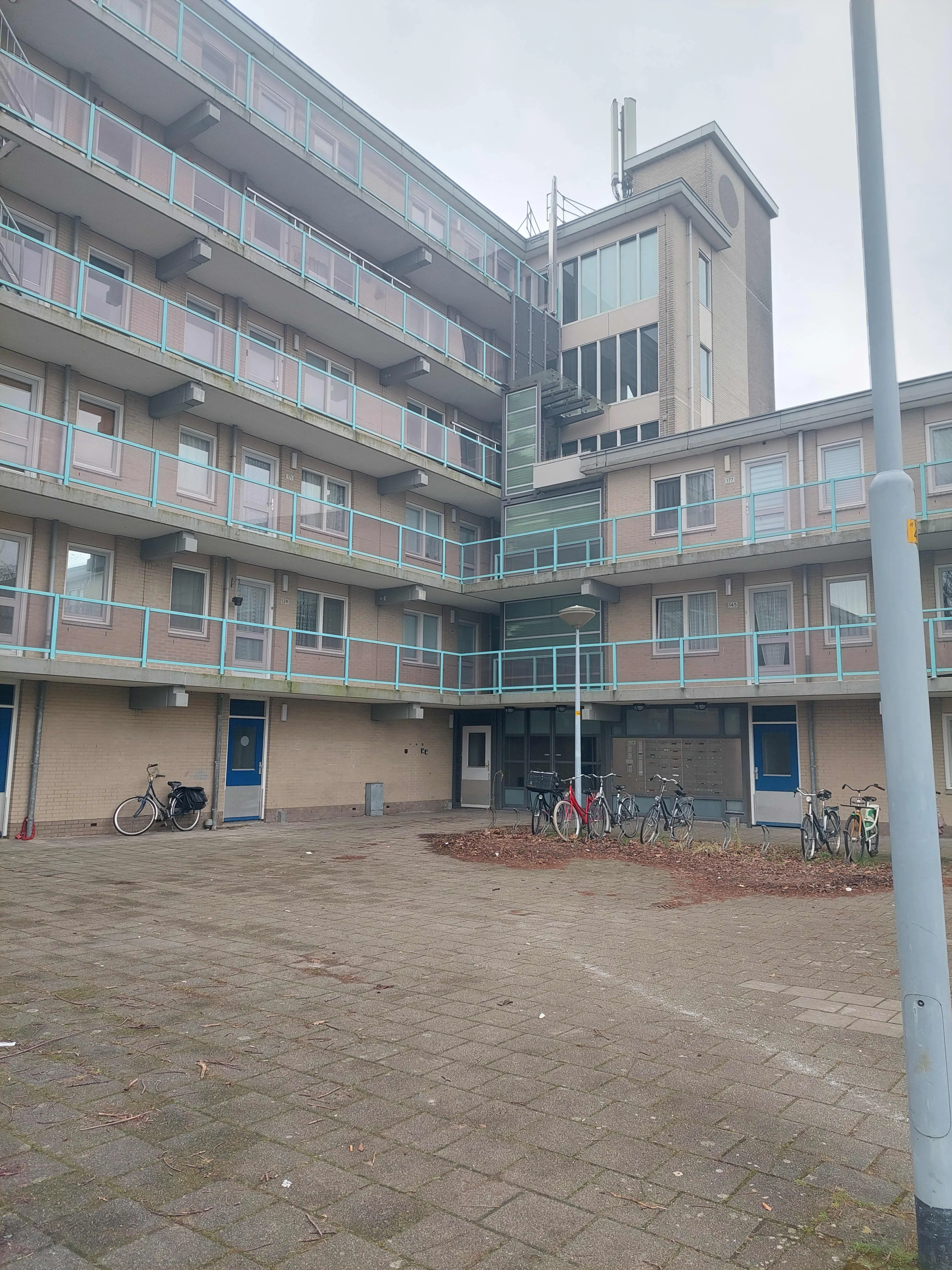Mary Zeldenruststraat