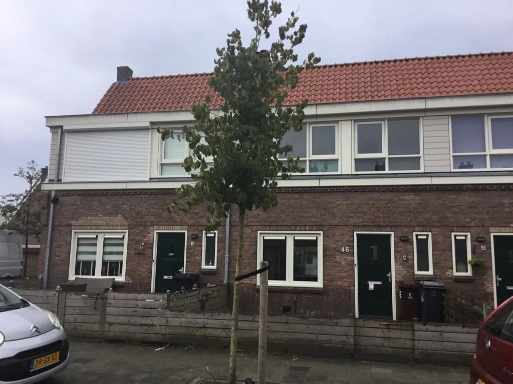 Boerhaavelaan