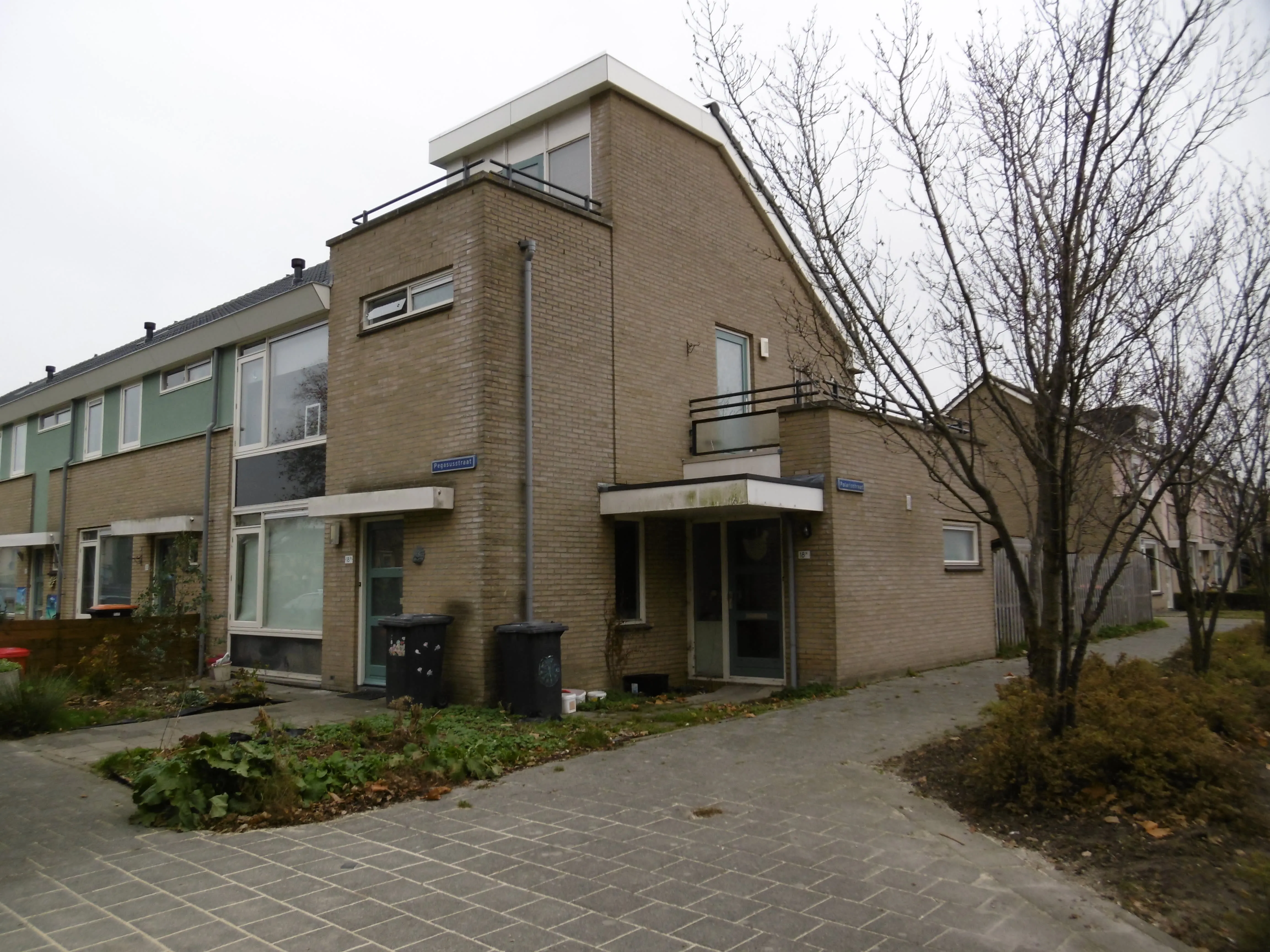 Pegasusstraat