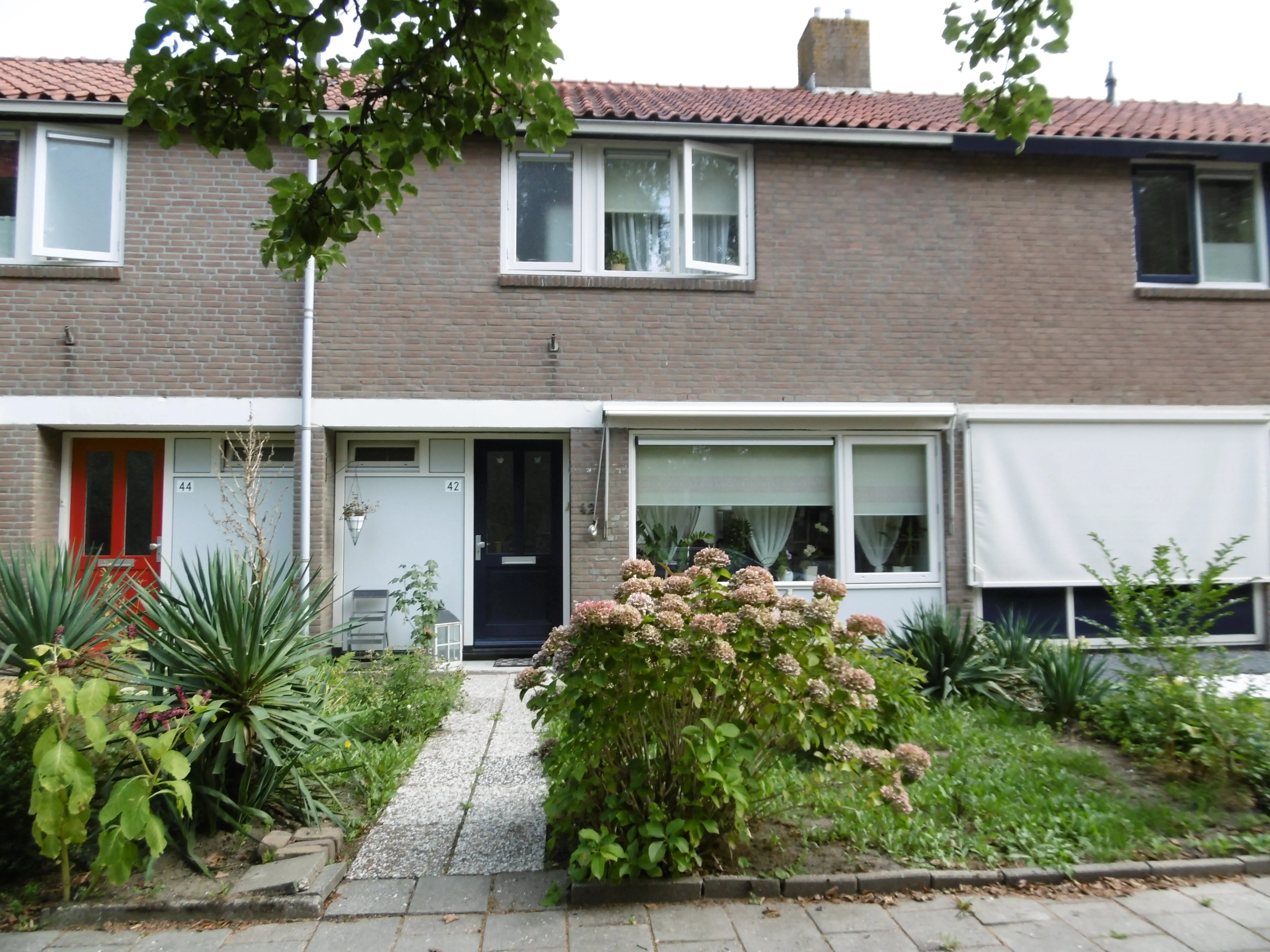 Lange Omgang